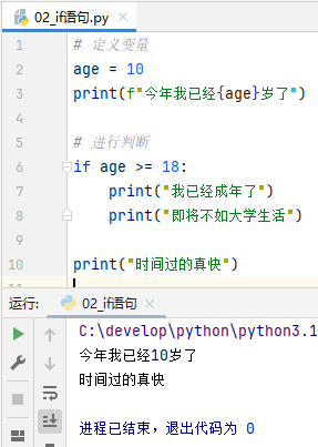 当age为10时，执行结果